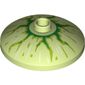 Dish 3 x 3 Inverted [Radar] with Green and Lime Lightning / Bloodshot Eye Print