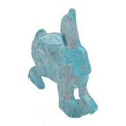 Animal, Rabbit / Hare