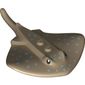 Animal, Stingray with Medium Blue Spots, Black Eyes print