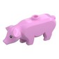 Animal, Pig, Large with Black Eyes and White Pupils Print