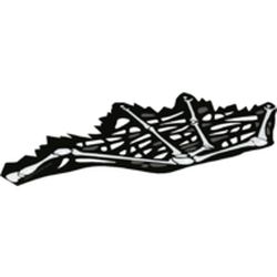 Wing, Left, White Bones Print