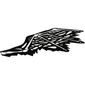 Wing, Right, White Bones Print