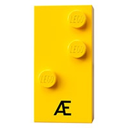 Braille Brick 2 x 4 with 3 Studs ⠣ and 'Æ' Print