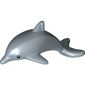 Animal, Dolphin with Black Eyes and White Pupils Print