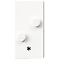 Braille Brick 2 x 4 with 2 Studs ⠔ and '*' print