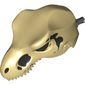 Animal Body Part, Dinosaur, Tyrannosaurus Rex Head with Pin, Skull Print
