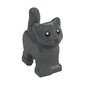 Animal, Cat, Kitten, Short Tail, Black Eyes and Nose Print
