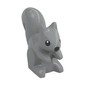 Animal, Squirrel, Standing, Black Eyes and Nose Print