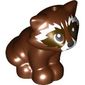 Animal, Raccoon Sitting with Dark Brown Markings, White Nose print
