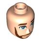 Minidoll Head Male with Reddish Brown Eyebrows, Full Beard, Bright Light Blue Eyes print