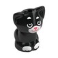 Animal, Cat, Kitten Sitting with White Fur, Coral Nose print (Shadow)