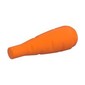 Plant, Carrot