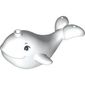 Animal, Whale / Narwhal with Light Bluish Grey Eyes print
