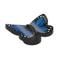 Insect, Butterfly with Dark Blue Wings, White Spots print
