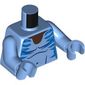 Torso, Bare Chest, Dark Azure/Dark Blue Markings, Dark Brown Neck print, Medium Blue Arms and Hands