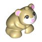 Animal, Hamster, Black Eyes, Whiskers, Bright Pink Nose, Ears, White Face