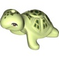 Animal, Turtle with Bright Green Shell, Dark Green Spots print