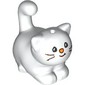 Animal, Cat, Chubby with Black Eyes, Whiskers, Coral Nose print