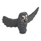 Animal, Bird, Owl Small with Open Wings, Bright Light Orange Eyes, Beak, White Face, Feathers print