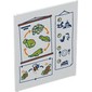 Glass for Frame 1 x 6 x 6 with School Posters, Frogs, Bees, Flowers, Icons print