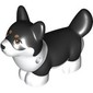 Animal, Dog, Corgi with Partially Black Fur print
