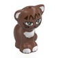 Animal, Cat, Sitting with Dark Brown Stripes, White Chest, Ears print