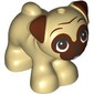 Animal, Dog, Pug with Reddish Brown Face, Open Mouth print