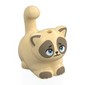 Animal, Cat, Chubby with Dark Tan Face, Toes, Bright Light Blue Eyes print