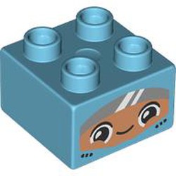 LEGO part 3437pr0212 Duplo Brick 2 x 2 with print in Medium Azure