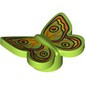 Insect, Butterfly with Yellow, Orange, Black Decorations print