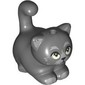 Animal, Cat, Chubby with Bright Green Eyes, Light Bluish Grey Fur print