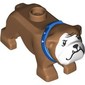 Animal, Dog, Bulldog with White Face, Fangs, Blue Collar print