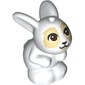 Animal, Rabbit / Bunny Sitting with Dark Brown Eyes, Tan Face print