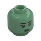 Minifig Head Black Eyebrows, Dark Green Lips, Neutral