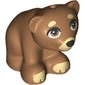 Animal, Bear, Small with Black Nose, Tan Snout, Eyebrows, Paws print