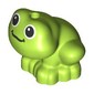 Animal, Frog Sitting with Black Eyes print