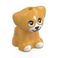 Animal, Dog Pup with White Face, Paws, Black Eyes, Nose print