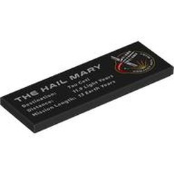 LEGO part 69729pr0064 Tile 2 x 6 with 'THE HAIL MARY', Stats print in Black