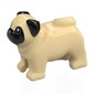 Animal, Dog Pug with Black Face, Ears print