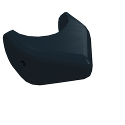 Animal Body Part, Shark Head