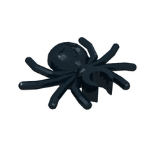 Insect, Spider (30238)