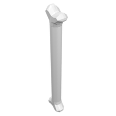 Animal Body Part, Dog Bone [Long] (92691)