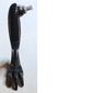 Animal Body Part, Dinosaur, Raptor Leg, Right