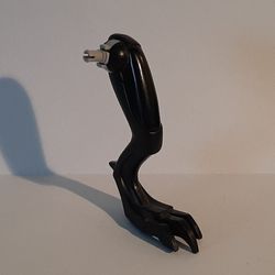 Animal Body Part, Dinosaur, Raptor Leg, Left