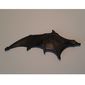 Animal Body Part, Dinosaur, Pteranodon Wing, Right
