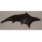 Animal Body Part, Dinosaur, Pteranodon Wing, Left