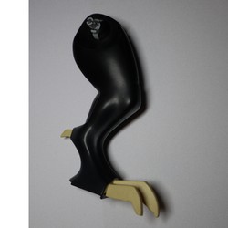 Animal Body Part, Dinosaur, Tyrannosaurus Rex Leg, Left with Tan Claws Pattern