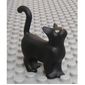 Animal, Cat, Standing with Yellow Eyes Print