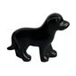 Animal, Dog, Standing [Plain]