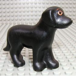 Animal, Dog, Standing with Eyes and White Nose Print